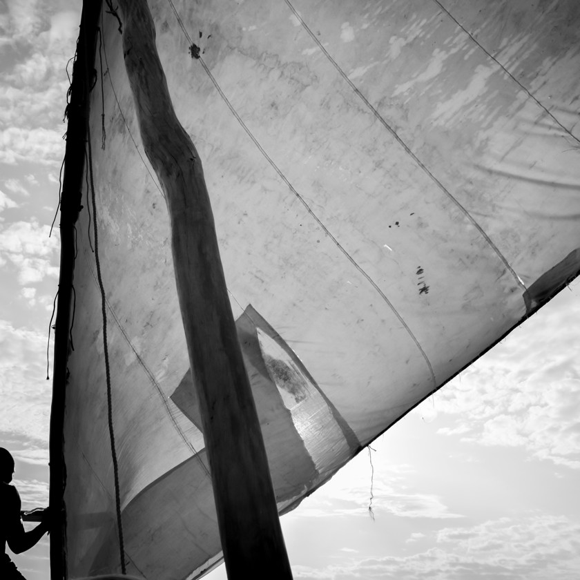 the world is black and white